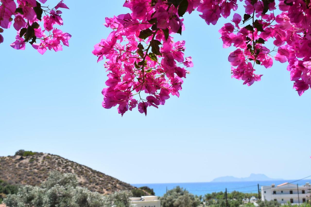 Porto Galini Hotell Agia Galini Eksteriør bilde